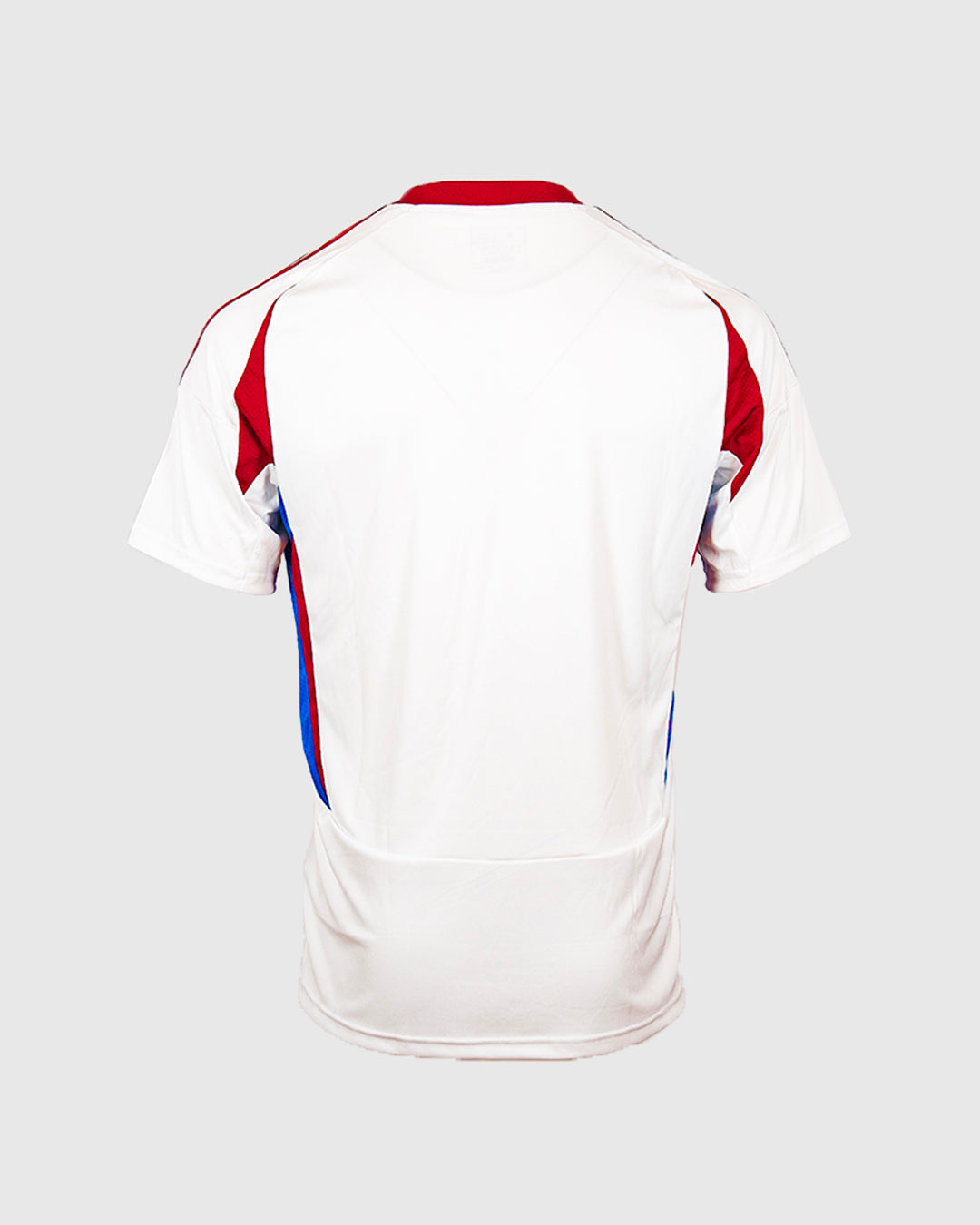 Maillot Extérieur Junior 24-25