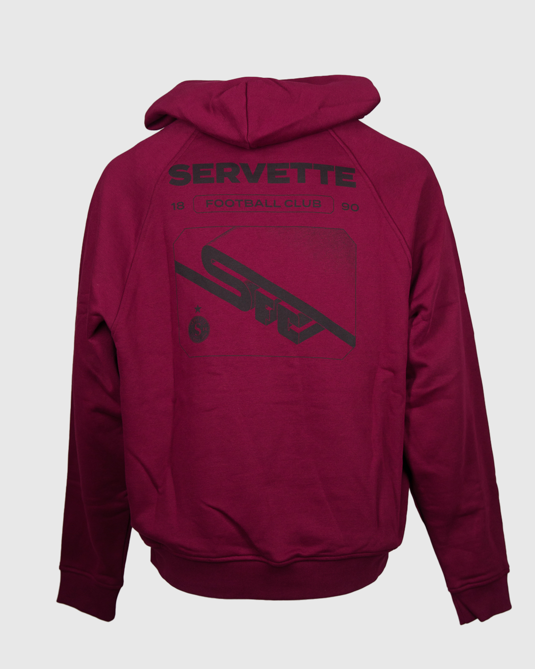 Hoodie Vision 3D SFC