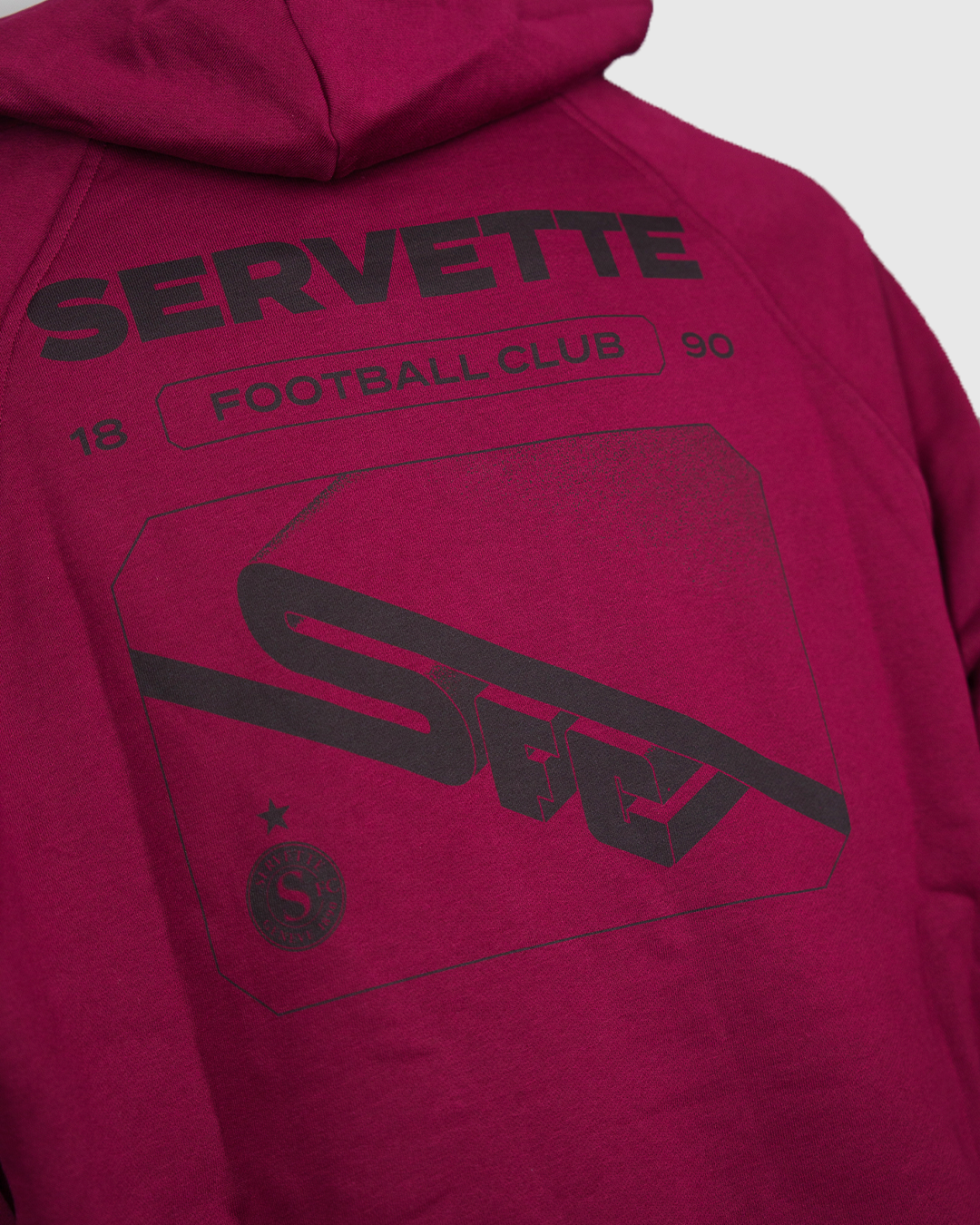 Hoodie Vision 3D SFC