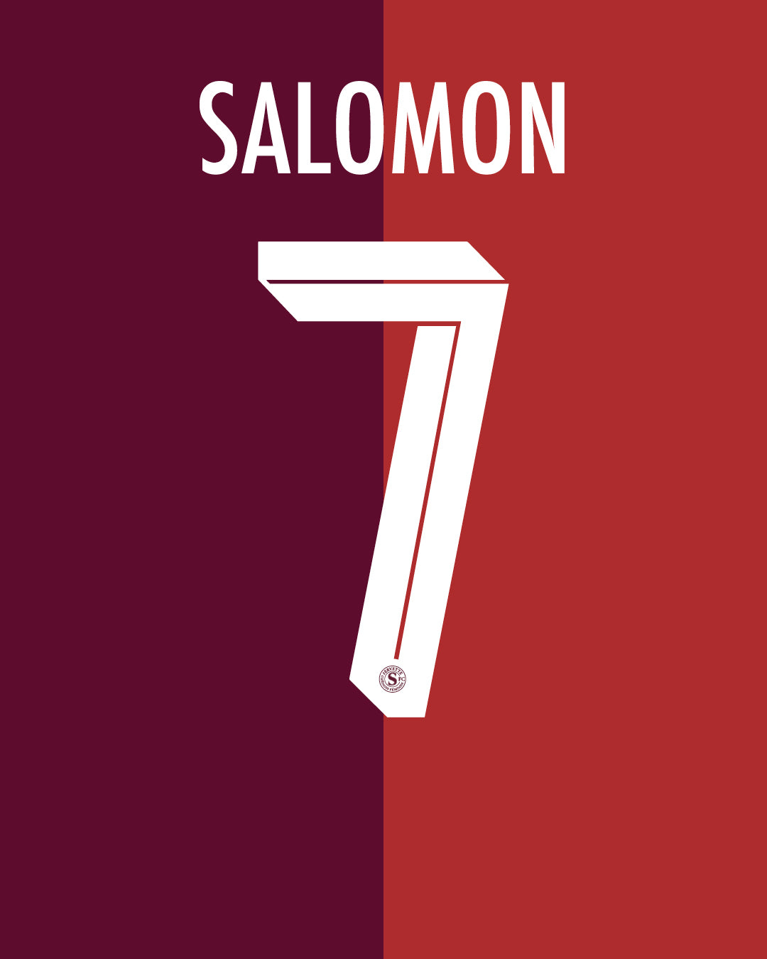 Maillot SFCCF x FF Chênois Genève signé - SALOMON 7