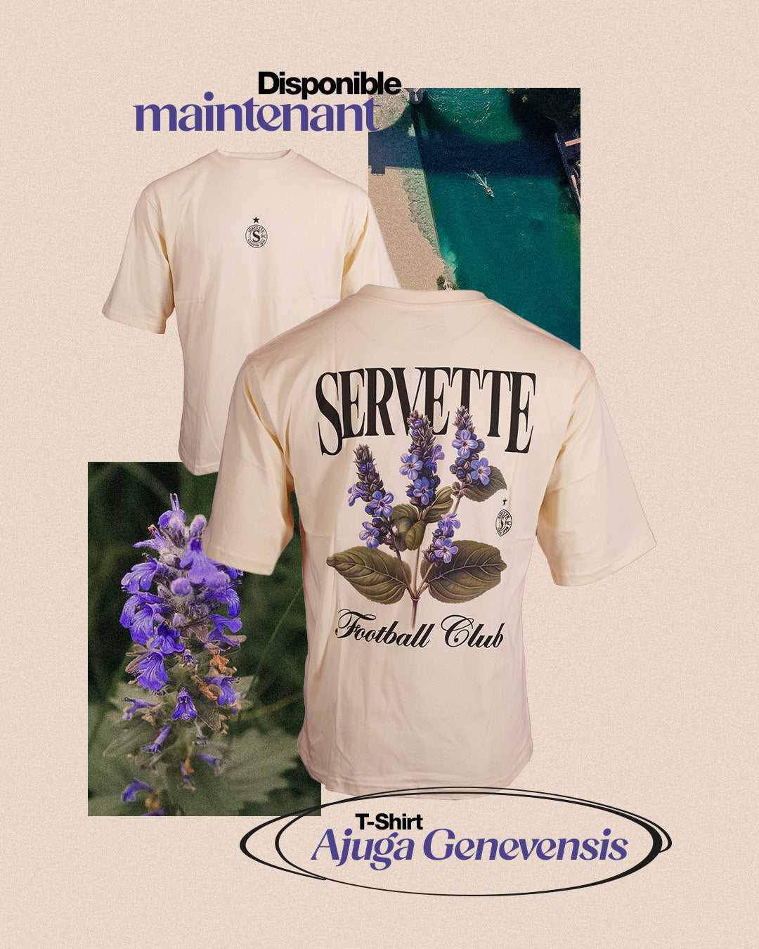 T-Shirt Ajuga Genevensis