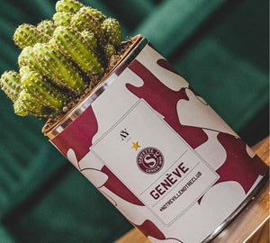 Cactus Servette FC