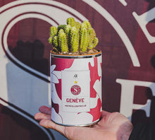 Charger l&#39;image dans la galerie, Cactus Servette FC